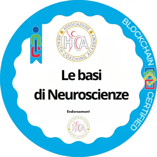 Badge pubblico 27439